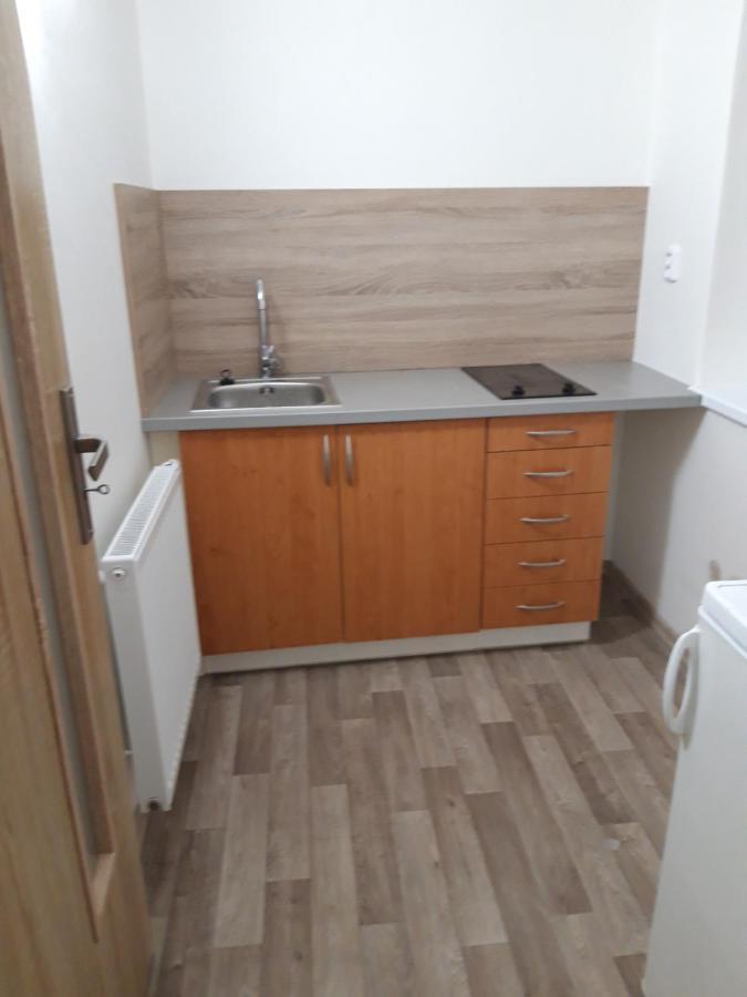 Apartman Plasy Buitenkant foto